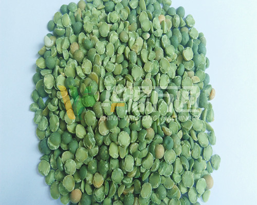 <a href=http://www.top-atom.com.cn/product/8/ target=_blank class=infotextkey>豌豆脫皮機(jī)</a>